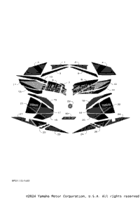 Graphic & Emblem