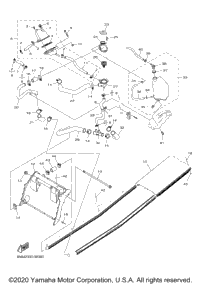 Radiator & Hose