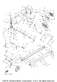 Radiator Hose