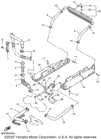 Radiator Hose