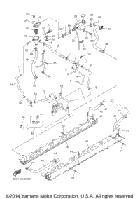 Radiator Hose