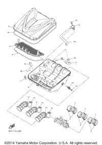 Intake