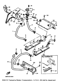 Radiator Hose