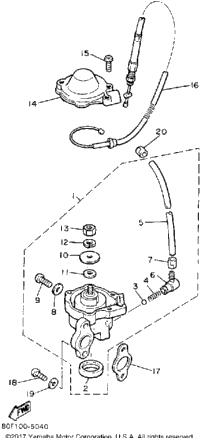 Oil Pump