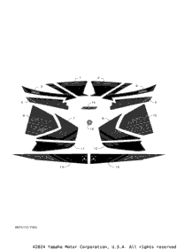 Graphic & Emblem