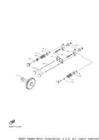 Camshaft & Valve