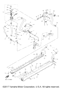 Radiator Hose