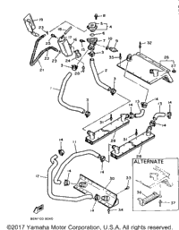 Radiator Hose