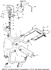 Radiator - Hose