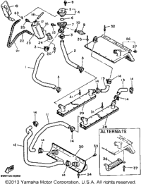 Radiator - Hose