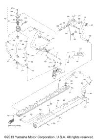 Radiator Hose