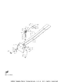 Radiator & Hose