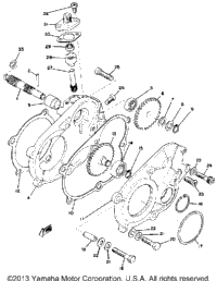 Pump Drive Gear