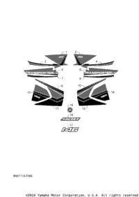 Graphic & Emblem
