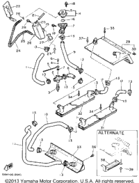 Radiator-Hose