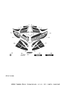 Graphic & Emblem