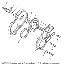 Pump Drive Gear