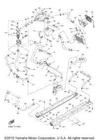 Radiator Hose