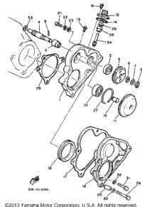 Pump Drive - Gear