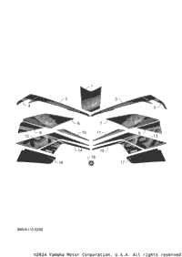 Graphic & Emblem