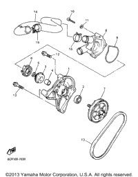 Water Pump