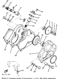 Pump Drive - Gear
