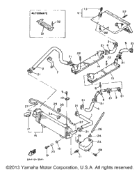 Radiator - Hose