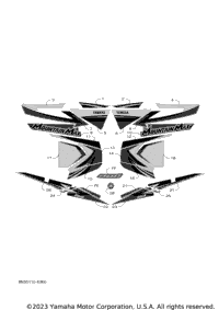 Graphic & Emblem