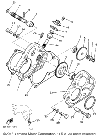 Pump Drive - Gear