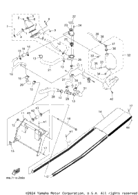 Radiator & Hose