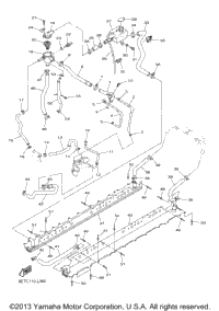 Radiator Hose