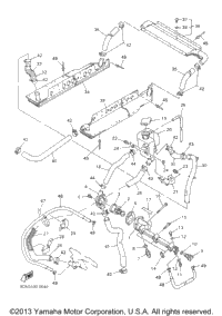Radiator Hose