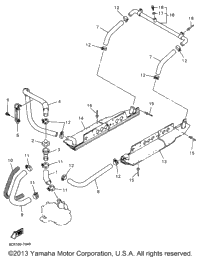 Radiator Hose
