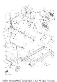 Radiator Hose