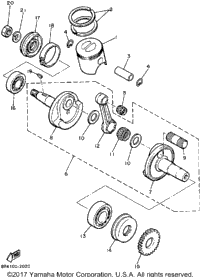 Crankshaft - Piston