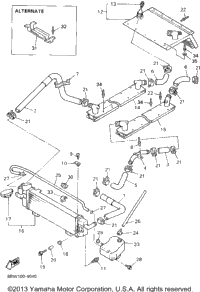Radiator Hose