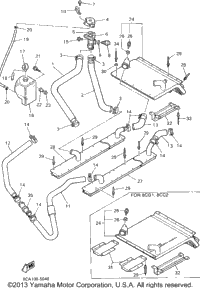 Radiator Hose