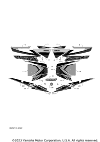 Graphic & Emblem