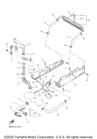 Radiator Hose