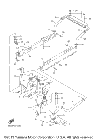 Radiator Hose