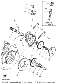 Pump Drive - Gear