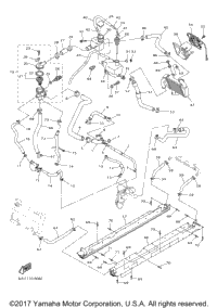 Radiator Hose
