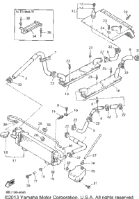Radiator Hose