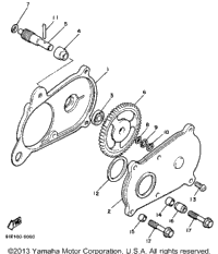 Pump Drive - Gear