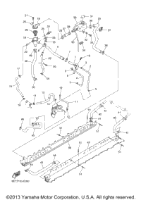 Radiator Hose