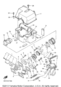 Intake