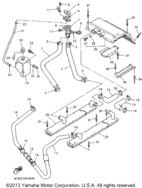 Radiator Hose