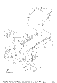 Radiator. Hose