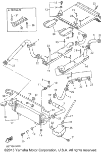 Radiator Hose