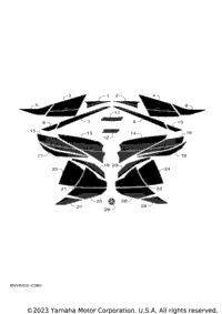 Graphic & Emblem